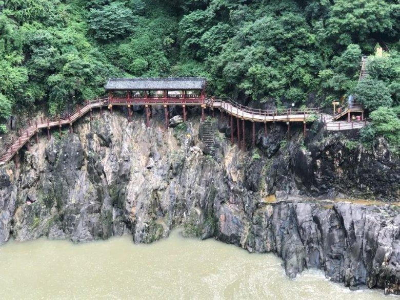 动物帮帮忙保卫家园